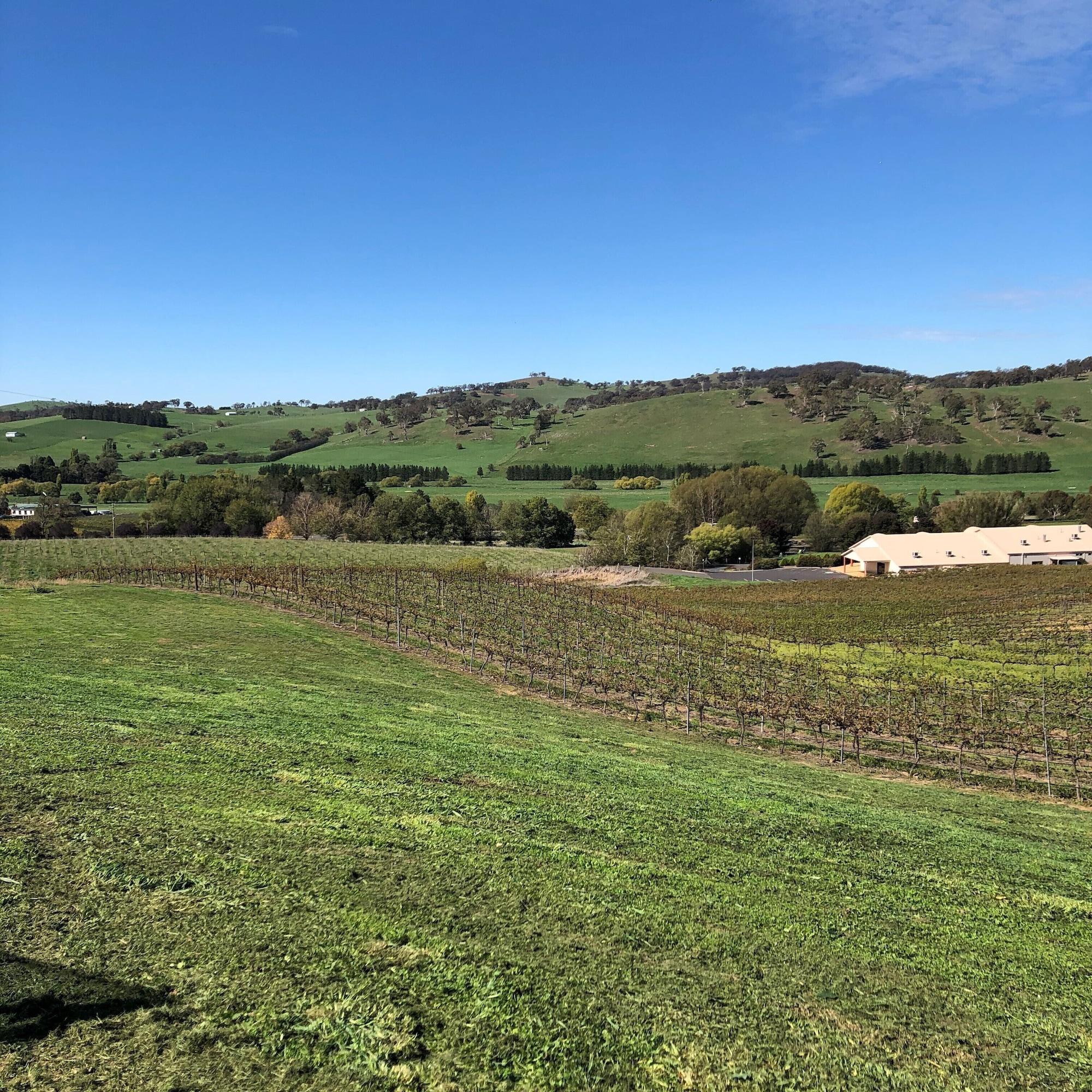 Motel Turners Vineyard 4*