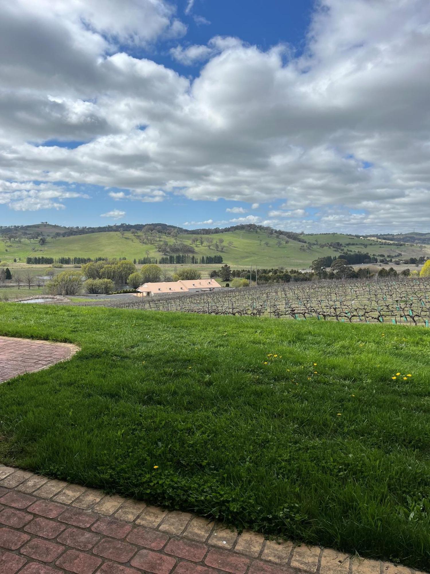 Motel Turners Vineyard Orange