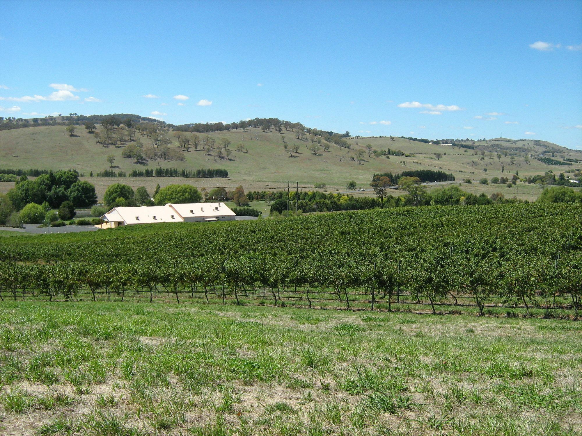 Turners Vineyard Motel