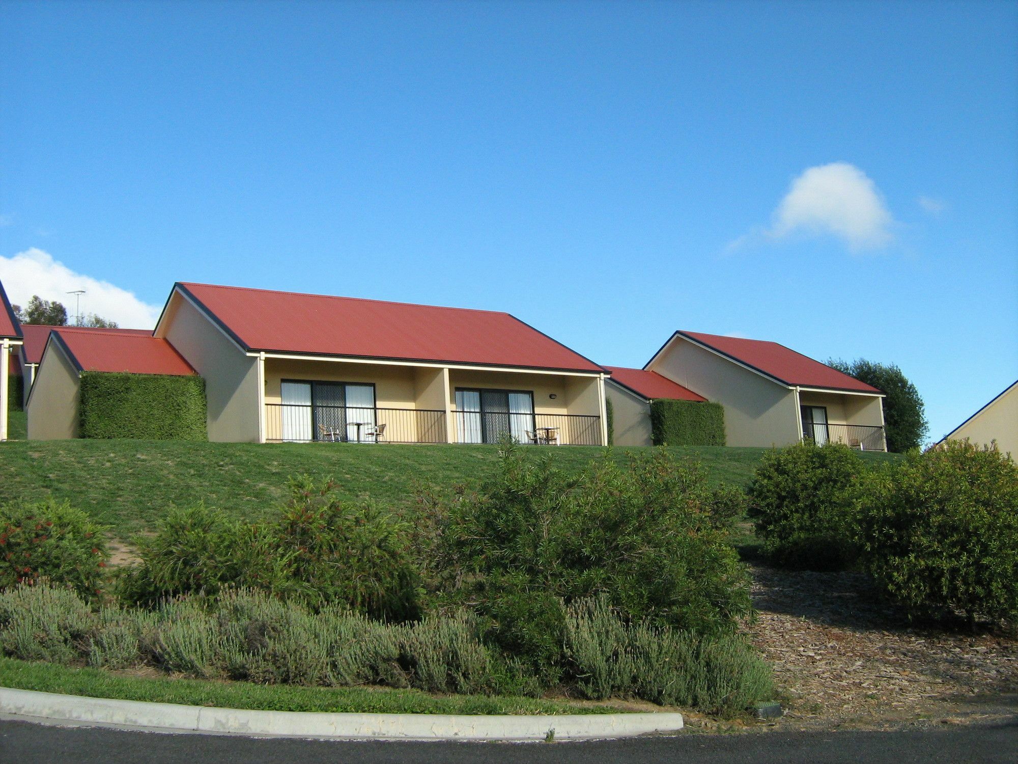 Turners Vineyard