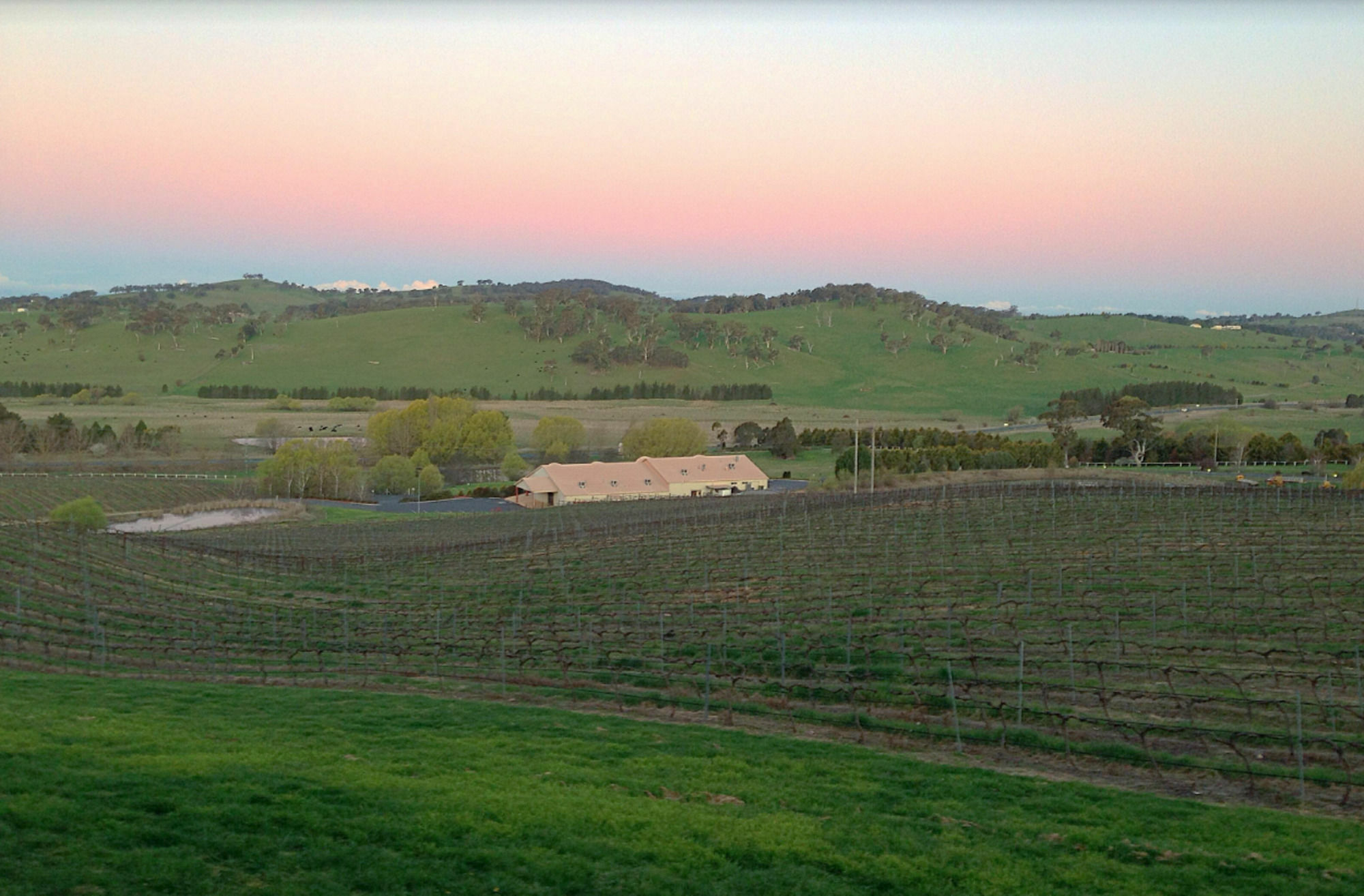 Turners Vineyard 4* Orange