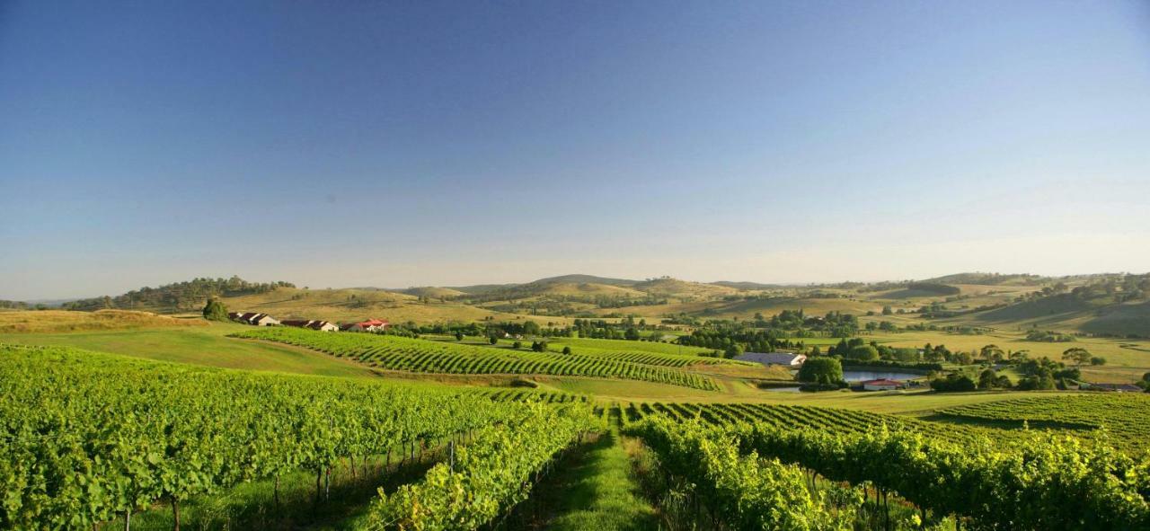 Turners Vineyard 4* Orange